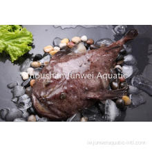 נזירים קפואים וטובים